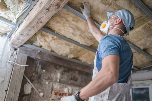 Types of Insulation We Offer in Castalia, OH