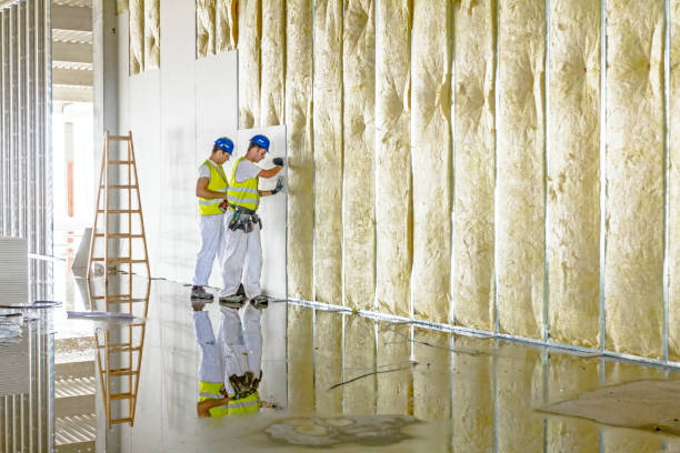 Best Specialized Insulation Services in Castalia, OH